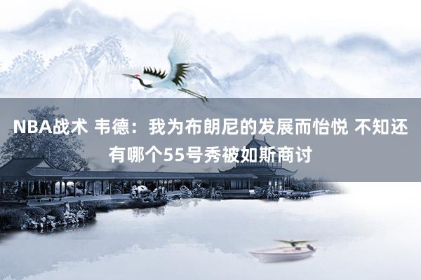 NBA战术 韦德：我为布朗尼的发展而怡悦 不知还有哪个55号秀被如斯商讨