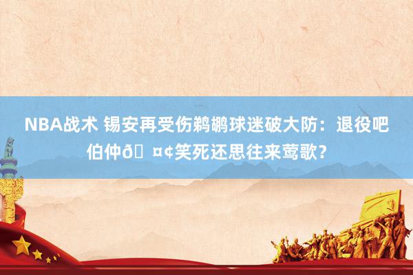 NBA战术 锡安再受伤鹈鹕球迷破大防：退役吧伯仲🤢笑死还思往来莺歌？